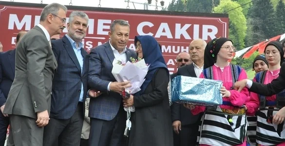 senlik